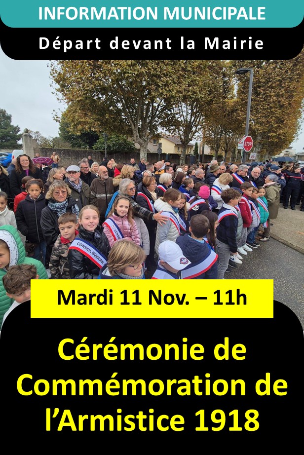 11 novembre