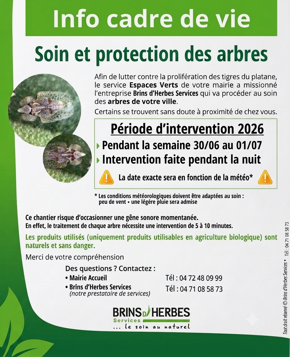 Traitement des Platanes contre le moustique tigre
